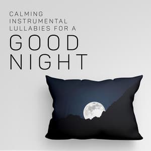 Calming Instrumental Lullabies for a Good Night: Peaceful Sleep, Deep Rest, No More Insomnia, Deep Regeneration During Sleep - Deep Sleep Sanctuary