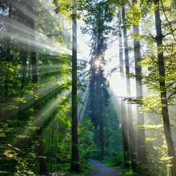 10 Hours White Noise: Quiet Echoes - White Noise for Babies