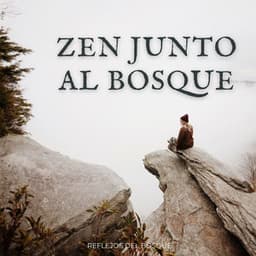 Zen Junto Al Bosque: Reflejos Del Bosque - Calma ASMR White Soughs