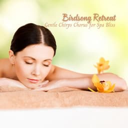 Birdsong Retreat: Gentle Chirps Chorus for Spa Bliss - Nature And Bird Sounds
