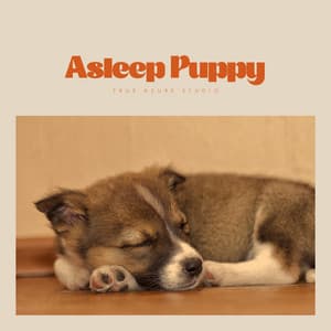 Asleep Puppy - Dog Sleep Academy