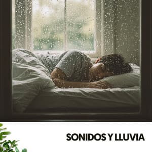 Sonidos de Lluvia y música: Melodías acuáticas para soñar - Cat Music Therapy