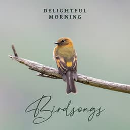 Delightful Morning Birdsongs - Calm Singing Birds Zone