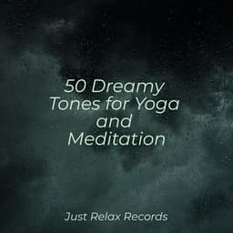 50 Dreamy Tones for Yoga and Meditation - Massage Therapy Music