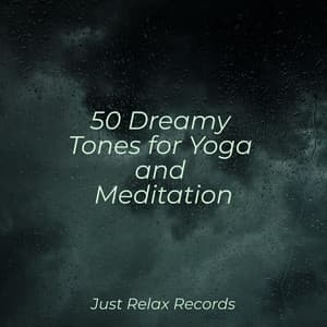 50 Dreamy Tones for Yoga and Meditation - Massage Therapy Music