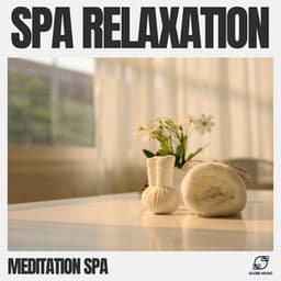 Spa Relaxation - Meditation Spa