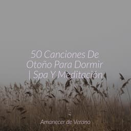 50 Canciones De Otoño Para Dormir | Spa Y Meditación - Musica Reiki