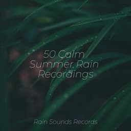 50 Calm Summer Rain Recordings - Yoga Music