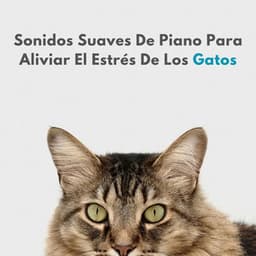 Sonidos Suaves De Piano Para Aliviar El Estrés De Los Gatos - Música clásica de piano de la nueva era