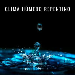 Clima Húmedo Repentino - Experiencia de sonido de lluvia