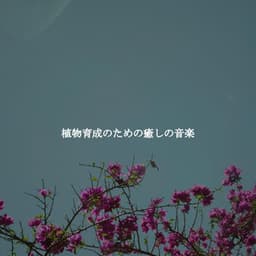 植物育成のための癒しの音楽 - Smooth Dinner Music