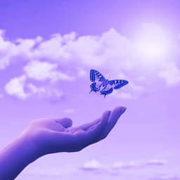 Echoes of Periodic Times - Modern Dinner Music