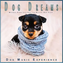Dog Dreams: Melodic Piano Lullabies for Restful Dog Sleep - Dog Music Experience