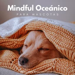 Mindful Oceánico Para Mascotas: Ondas Theta Binaurales Calmantes - Sistema de ritmos binaurales