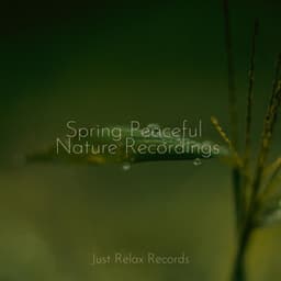 Spring Peaceful Nature Recordings - Calming Sounds