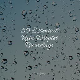 50 Essential Rain Droplet Recordings - Masters of Binaurality