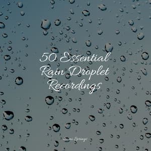 50 Essential Rain Droplet Recordings - Masters of Binaurality