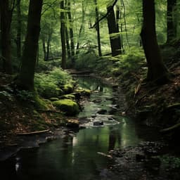 Aguas De Relajación: Tonos Ambientales Meditativos - Efectos especiales de la madre naturaleza