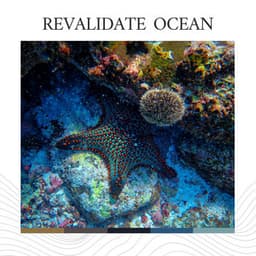 Revalidate Ocean - Sonidos De Agua