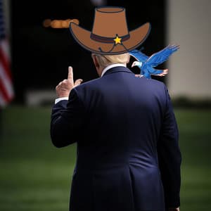 Cowboys Support The Don - Born in the USA