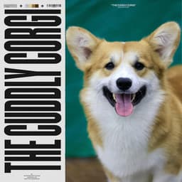 The Cuddly Corgi - Sounds Dogs Love