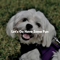 Let's Go Have Some Fun - Restaurante de Musica de Lujo