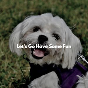 Let's Go Have Some Fun - Restaurante de Musica de Lujo