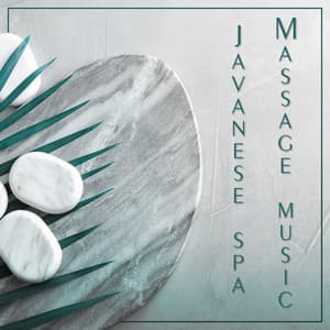 Javanese Healing Retreat Flow of Touch Music - Tom Barkes