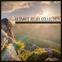 Ultimate Relax Collection – The Best Relaxing Music, Music for Stress Reduction, Yoga Background Music, Mindful Meditation, Self Motivation - Feeling Good Club