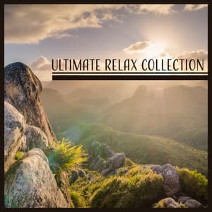 Ultimate Relax Collection – The Best Relaxing Music, Music for Stress Reduction, Yoga Background Music, Mindful Meditation, Self Motivation - Feeling Good Club