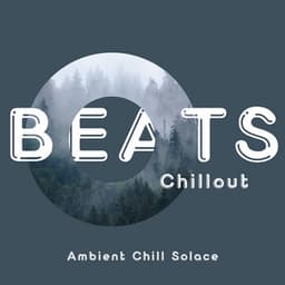 Ambient Chill Solace: Peaceful Beats for Soulful Calm - Beats Chillout