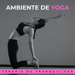 Ambiente De Yoga: Terapia De Tranquilidad - Reiki y Tai Chi Armonía