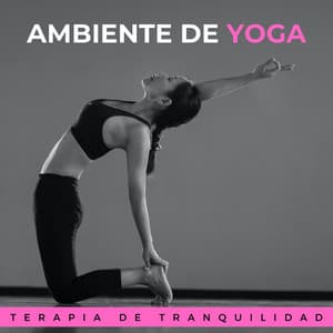 Ambiente De Yoga: Terapia De Tranquilidad - Reiki y Tai Chi Armonía