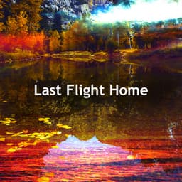 Last Flight Home - Sounds Of Nature