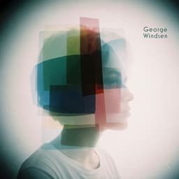 Transparent Thoughts - George Windsen