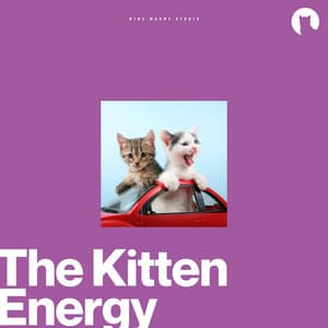 The Kitten Energy - Music For Cats