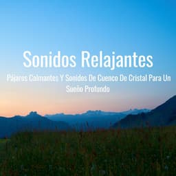 Sonidos Relajantes: Pájaros Calmantes Y Sonidos De Cuenco De Cristal Para Un Sueño Profundo - Pájaros de la noche
