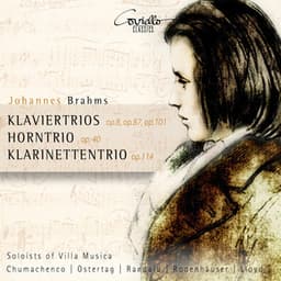 Brahms: Klaviertrios Op. 8, Op. 87, Op. 101, Horntrio Op. 40 & Klarinettentrio Op. 114 - Johannes Brahms