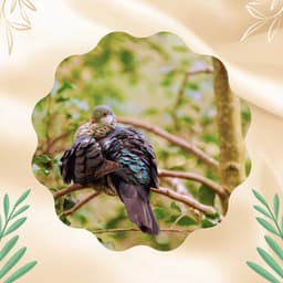 Relaxing Days - Hotel Chillout Lounge