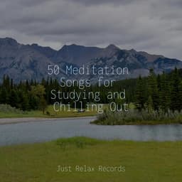 50 Meditation Songs for Studying and Chilling Out - Chakra Balancing Sound Therapy
