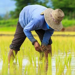 Peaceful Workflow: Work Sessions with Rain and White Noise - Static White Noise Sounds