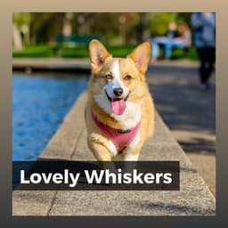 Lovely Whiskers - Calming for Dogs