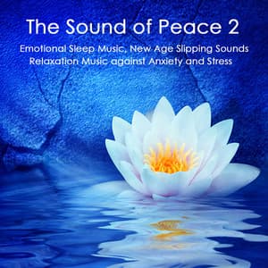 The Sound of Peace 2: Emotional Sleep Music, New Age Slipping Sounds - Lucid Dreaming World