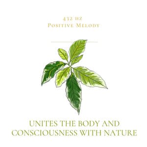 Unites the Body and Consciousness with Nature - 432 hz Positive Melody