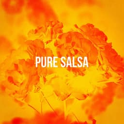 Pure Salsa - Latin Sound