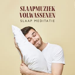 Slaapmuziek Volwassenen: Slaap Meditatie, Ontspanningsoefeningen Bedtijd, Beste Slaapmiddel - Ontspanning Muziek Club