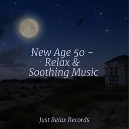 New Age 50 - Relax & Soothing Music - Relaxing Mindfulness Meditation Relaxation Maestro