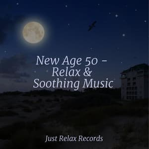 New Age 50 - Relax & Soothing Music - Relaxing Mindfulness Meditation Relaxation Maestro