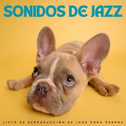 Sonidos De Jazz: Lista De Reproducción De Jazz Para Perros - Restaurante Jazz Clásicos