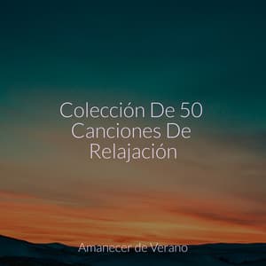 Colección De 50 Canciones De Relajación - Academia de Música con Sonidos de la Naturaleza